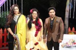 Actor Harish and Abinaya Wedding Reception - 14 of 35
