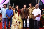 Actor Harish and Abinaya Wedding Reception - 15 of 35