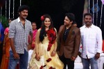 Actor Harish and Abinaya Wedding Reception - 16 of 35