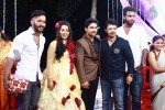 Actor Harish and Abinaya Wedding Reception - 23 of 35