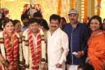 actor-pandiarajan-son-wedding-photos