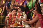Actor Pandiarajan Son Wedding Photos - 18 of 73