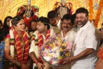 actor-pandiarajan-son-wedding-photos