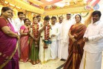 actor-pandiarajan-son-wedding-photos