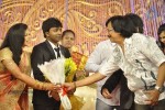 Actor Pandiarajan Son Wedding Reception - 13 of 102
