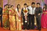 Actor Pandiarajan Son Wedding Reception - 18 of 102