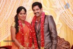 Actor Viddarth and Gayathri Devi Wedding Reception - 2 of 54