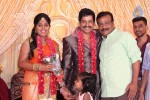 Actor Viddarth and Gayathri Devi Wedding Reception - 20 of 54