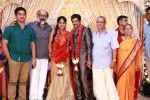 Actor Viddarth and Gayathri Devi Wedding Reception - 53 of 54