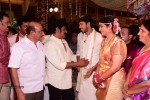 Allari Naresh Wedding Photos 03 - 35 of 227