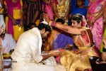 Allari Naresh Wedding Photos 04 - 18 of 59