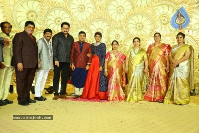 Ambica Krishna Grandson Wedding Reception Photos - 4 of 30