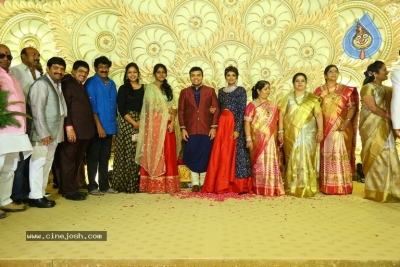 Ambica Krishna Grandson Wedding Reception Photos - 5 of 30