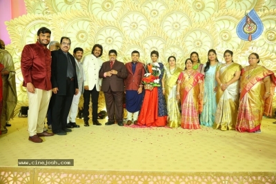 Ambica Krishna Grandson Wedding Reception Photos - 6 of 30