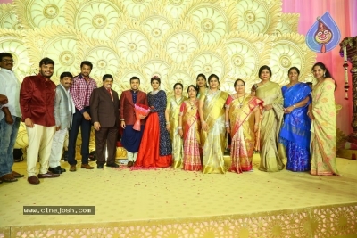 Ambica Krishna Grandson Wedding Reception Photos - 10 of 30