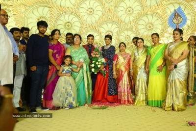 Ambica Krishna Grandson Wedding Reception Photos - 11 of 30