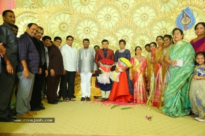 Ambica Krishna Grandson Wedding Reception Photos - 14 of 30