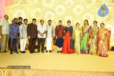 Ambica Krishna Grandson Wedding Reception Photos - 15 of 30