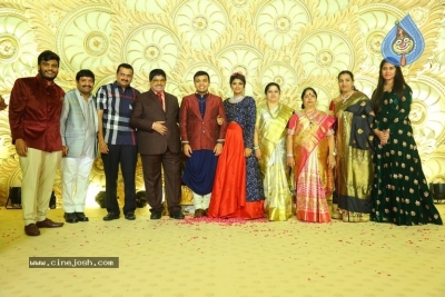 Ambica Krishna Grandson Wedding Reception Photos - 20 of 30
