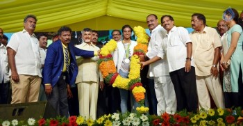 AP CM Felicitates PV Sindhu Photos - 2 of 17
