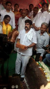 Balakrishna at Nimmakuru - 10 of 15