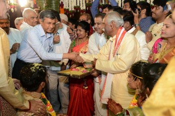 Bandaru Dattatreya Daughter Marriage Photos - 20 of 128