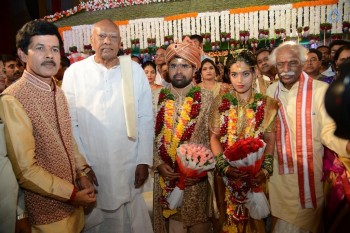 Bandaru Dattatreya Daughter Marriage Photos - 23 of 128