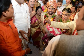 Bandaru Dattatreya Daughter Marriage Photos - 26 of 128