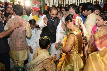 Bandaru Dattatreya Daughter Marriage Photos - 83 of 128