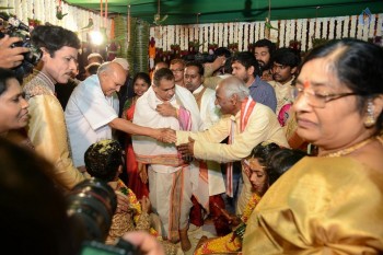 Bandaru Dattatreya Daughter Marriage Photos - 93 of 128