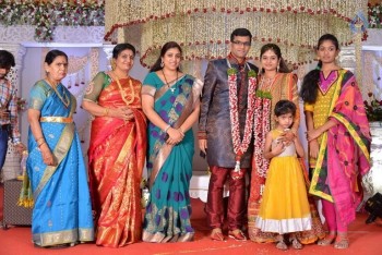 Celebrities at Delhi Rajeswari Son Wedding Reception - 9 of 94