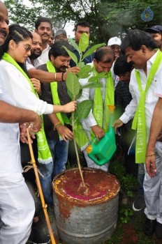 Celebrities at Haritha Haram Event - 1 of 42