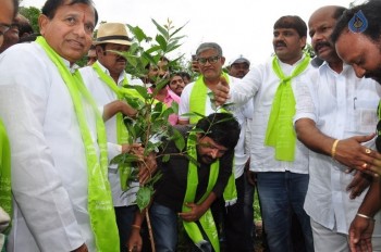 Celebrities at Haritha Haram Event - 10 of 42