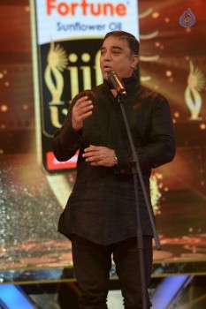 Celebrities at IIFA Utsavam Awards 2016 - 61 of 101