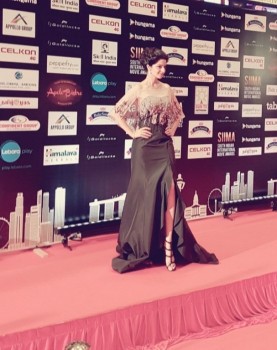 Celebrities at SIIMA 2016 Awards - 8 of 33