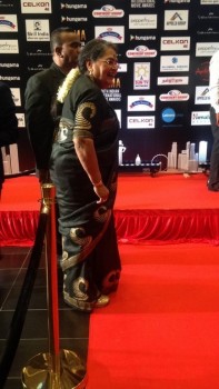 Celebrities at SIIMA 2016 Awards - 14 of 33