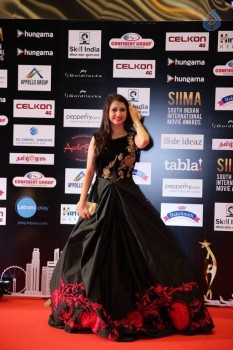 Celebrities at SIIMA 2016 Awards Day 1 - 1 of 48