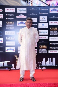 Celebrities at SIIMA 2016 Awards Day 1 - 17 of 48