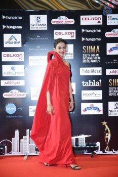 Celebrities at SIIMA 2016 Awards Day 2 - 10 of 32