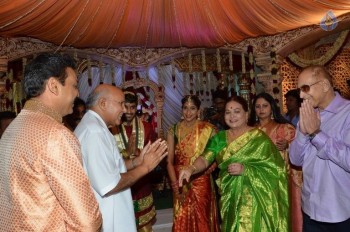 Celebrities at Sri Divya and Sai Nikhilesh Wedding 1 - 13 of 62