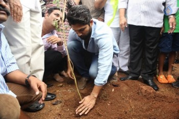 Celebrities Participates in Haritha Haram Program - 87 of 100