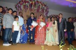 Celebs at Ali Brother Khayum Wedding Reception 02 - 54 of 165