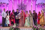 Celebs at Ali Brother Khayum Wedding Reception 03 - 10 of 165