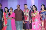 Celebs at Raja Wedding Reception - 8 of 148