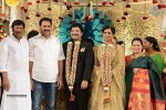 Celebs at Rajendra Prasad Son Wedding Reception 03 - 17 of 60