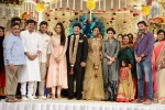 Celebs at Rajendra Prasad Son Wedding Reception 04 - 26 of 54