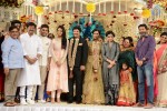 Celebs at Rajendra Prasad Son Wedding Reception 04 - 28 of 54