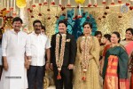 Celebs at Rajendra Prasad Son Wedding Reception 04 - 36 of 54