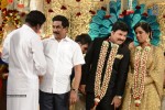 Celebs at Rajendra Prasad Son Wedding Reception 04 - 41 of 54