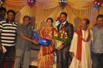Director Senthinathan Son Wedding Reception - 27 of 63